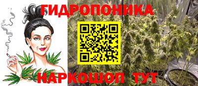 mdpv Кингисепп