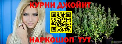 mdpv Кингисепп