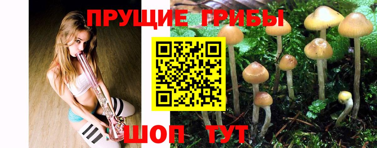 цена наркотик  Галлюциногенные грибы Magic Shrooms  Вход с VPN  Галлюциногенные грибы MAGIC MUSHROOMS  Красноярск 
